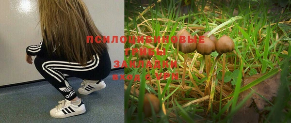 спиды Ачинск